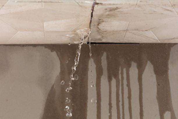 Professional Sewage Cleanup technician working in Howard, WI
